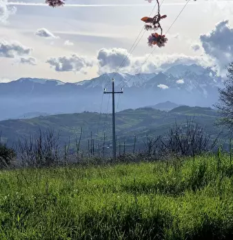 Foto annuncio 1