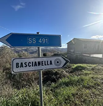 Foto annuncio 7
