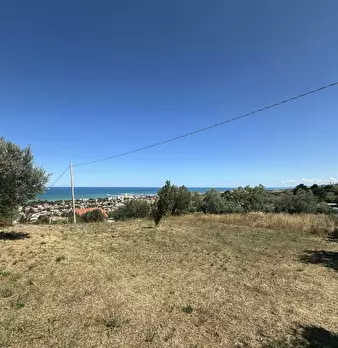 Foto annuncio 9