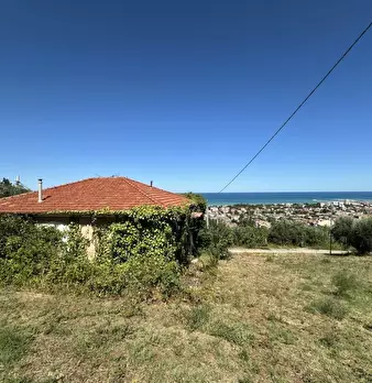 Foto annuncio 1