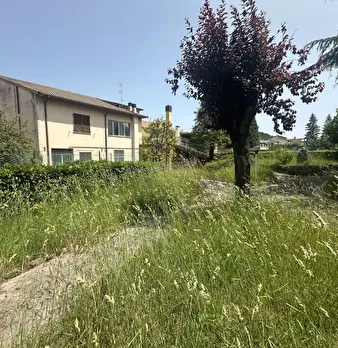 Foto annuncio 4