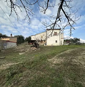 Foto annuncio 6