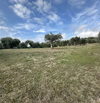 Foto annuncio 10