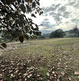 Foto annuncio 8