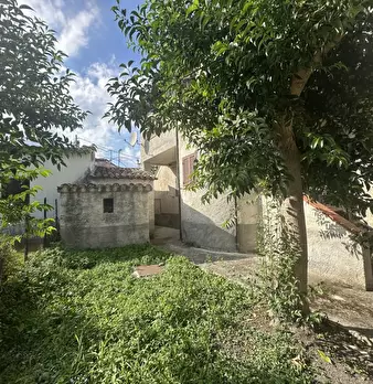 Foto annuncio 1