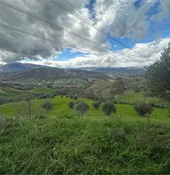 Foto annuncio 8