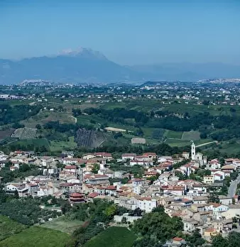 Foto annuncio 10