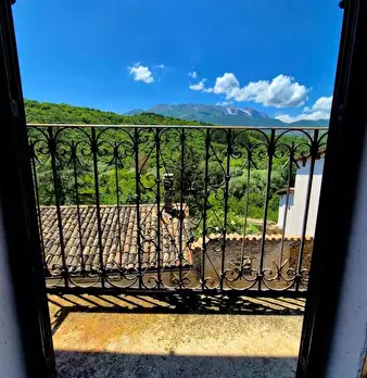 Foto annuncio 9