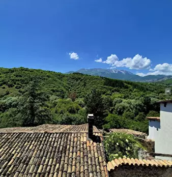 Foto annuncio 10