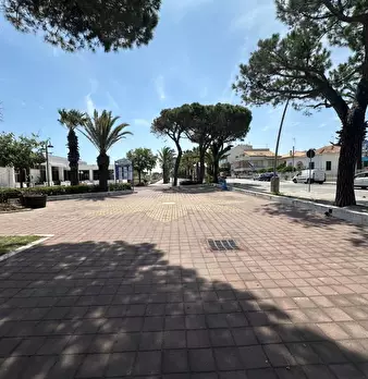 Foto annuncio 10