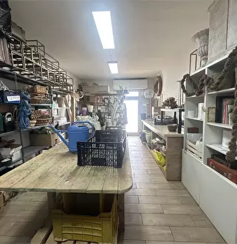 Foto annuncio 6