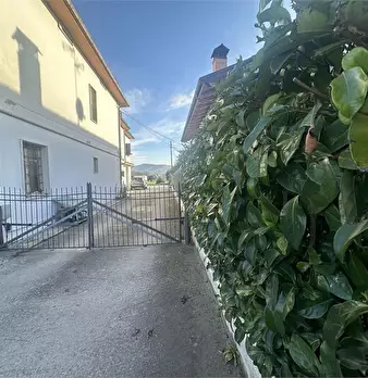 Foto annuncio 10