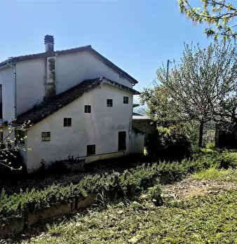 Foto annuncio 3