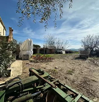 Foto annuncio 9