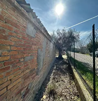 Foto annuncio 6