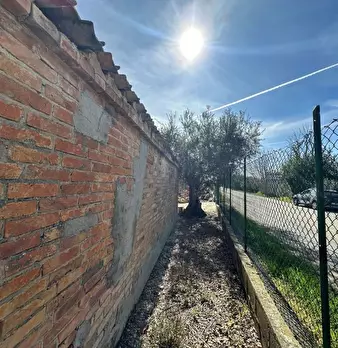 Foto annuncio 7
