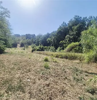 Foto annuncio 4