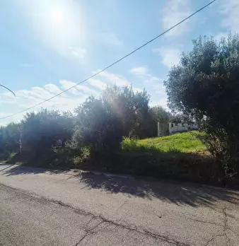 Foto annuncio 6
