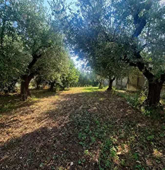 Foto annuncio 3