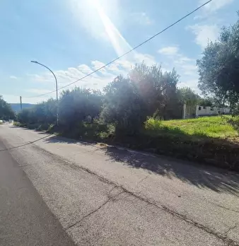 Foto annuncio 8