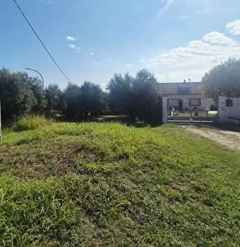 Foto annuncio 5