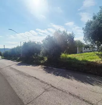 Foto annuncio 9