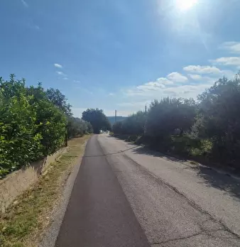Foto annuncio 7