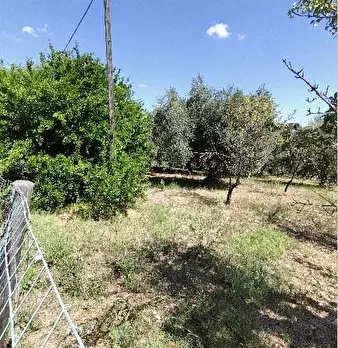 Foto annuncio 10