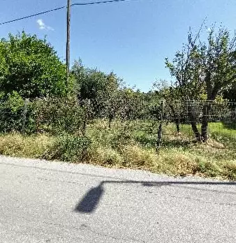 Foto annuncio 2