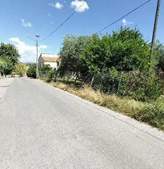 Foto annuncio 3