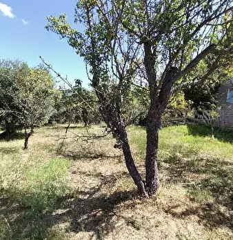 Foto annuncio 7