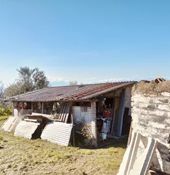 Foto annuncio 6