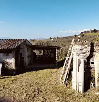 Foto annuncio 4