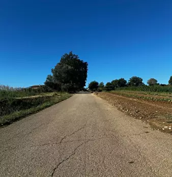 Foto annuncio 7