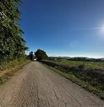 Foto annuncio 10