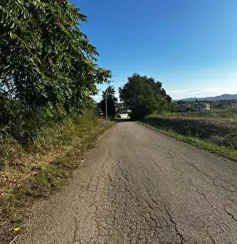 Foto annuncio 4