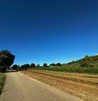 Foto annuncio 6