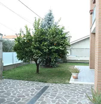 Foto annuncio 5