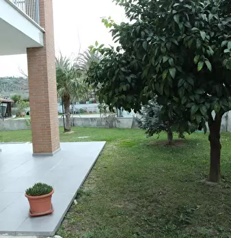 Foto annuncio 6