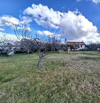 Foto annuncio 10
