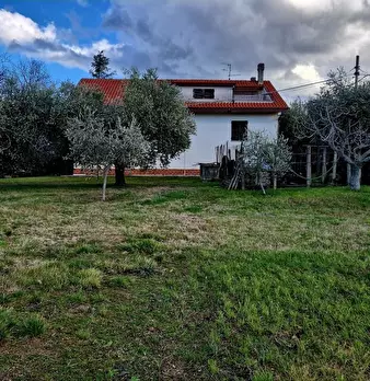 Foto annuncio 9
