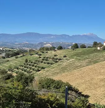 Foto annuncio 5