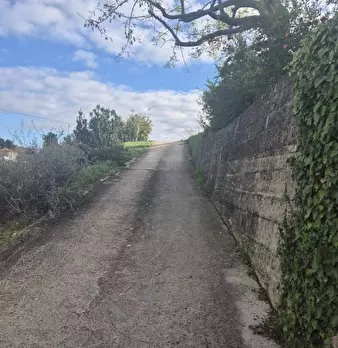 Foto annuncio 6