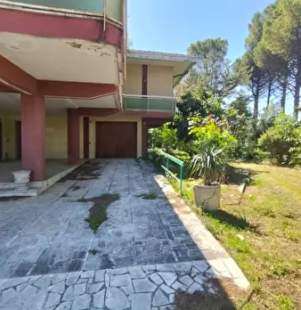 Foto annuncio 8