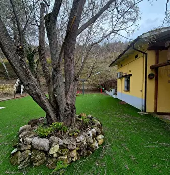 Foto annuncio 8