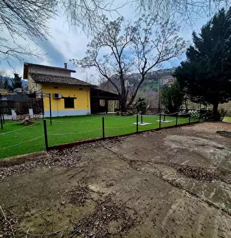 Foto annuncio 9
