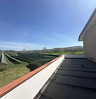 Foto annuncio 8