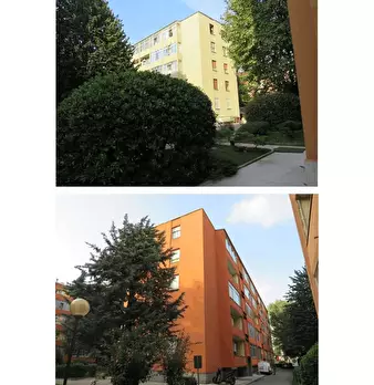 Foto annuncio 2