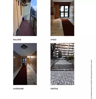 Foto annuncio 6
