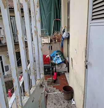 Foto annuncio 10